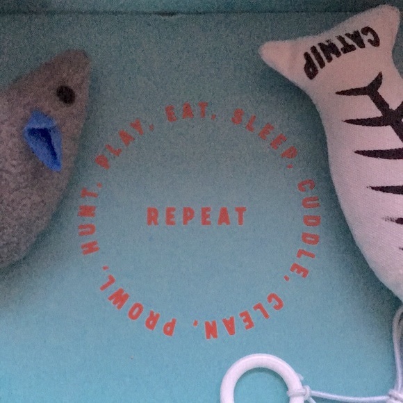 New Cat Kitten Pet Starter Boxed Gift Set Toys Dish Collar - Picture 9 of 9